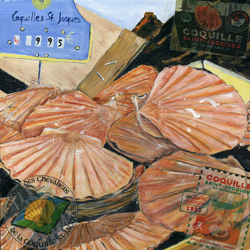 Jakobsmuscheln in Kiste