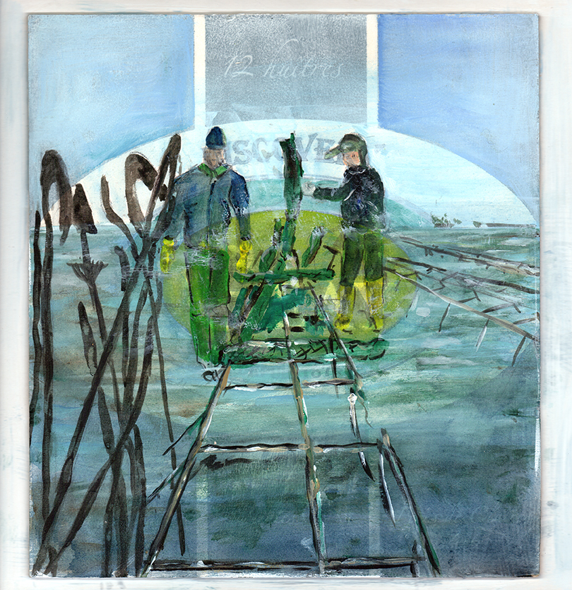 Austernfischer bei der Arbeit